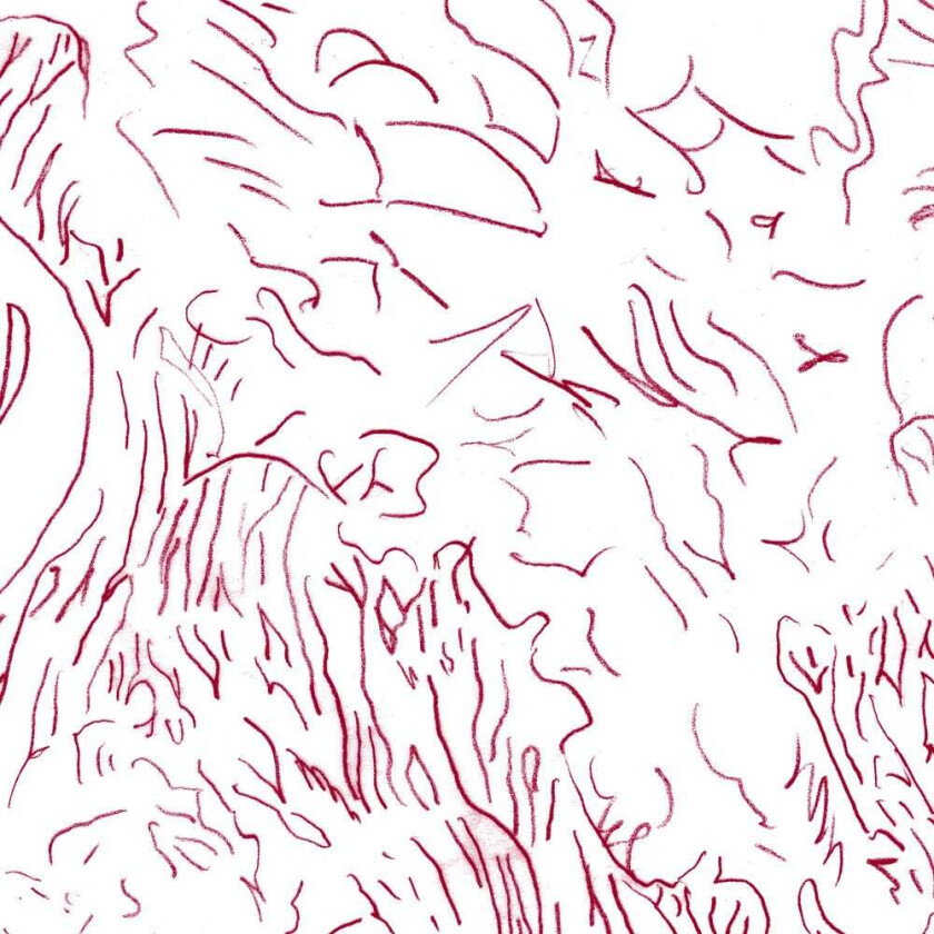 Tom Skinner Voices Of Bishara CD