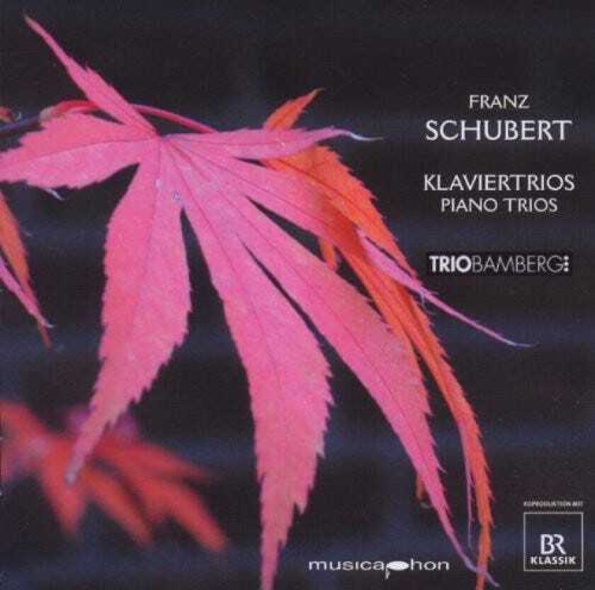 Trio Bamberg Piano Trios CD