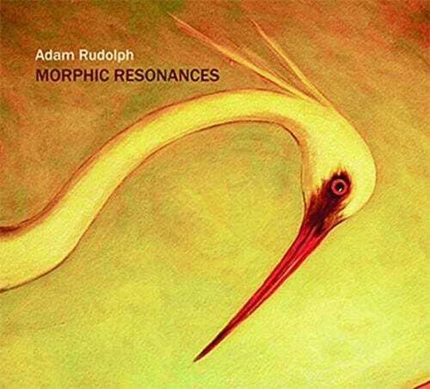 Adam Rudolph Morphic Resonances CD
