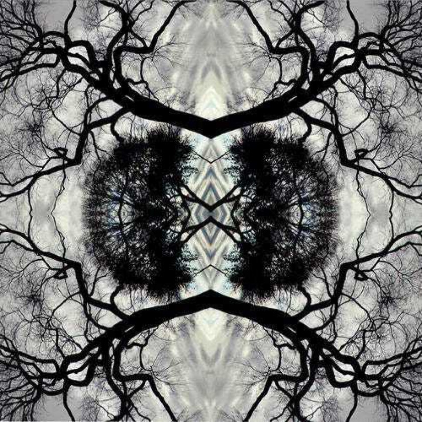 Adam Rudolph Sonic Mandala Go: Organic Orchestra CD