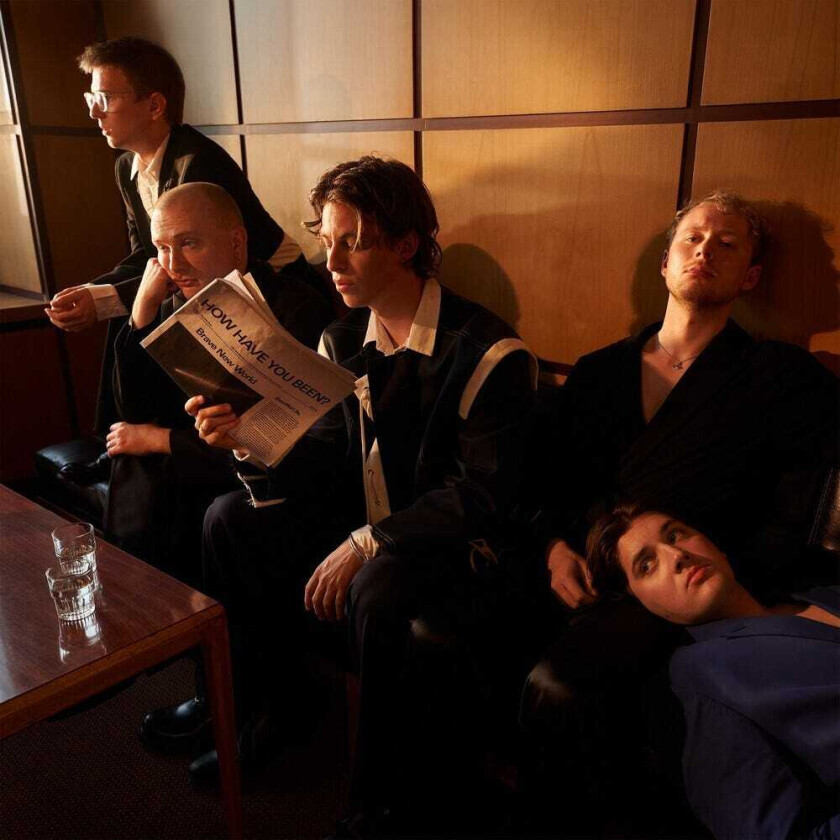 Giant Rooks How Have You Been CD