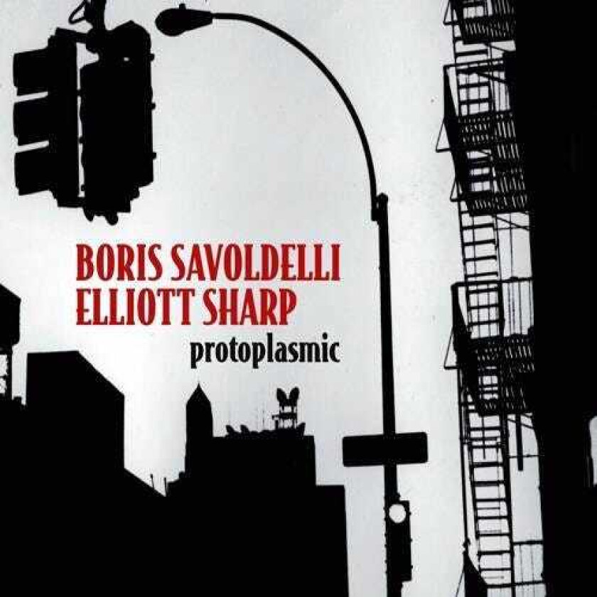 Boris Savoldelli & Elliot Sharp Protoplasmic CD