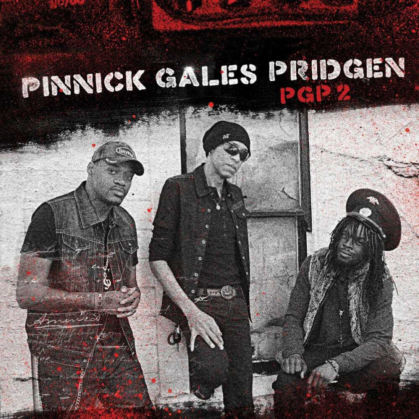 Pinnickgalespridgen Pgp 2 CD