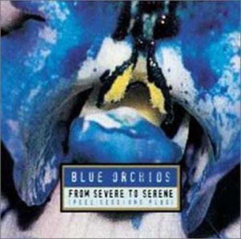 The Blue Orchids From Severe To Serene CD