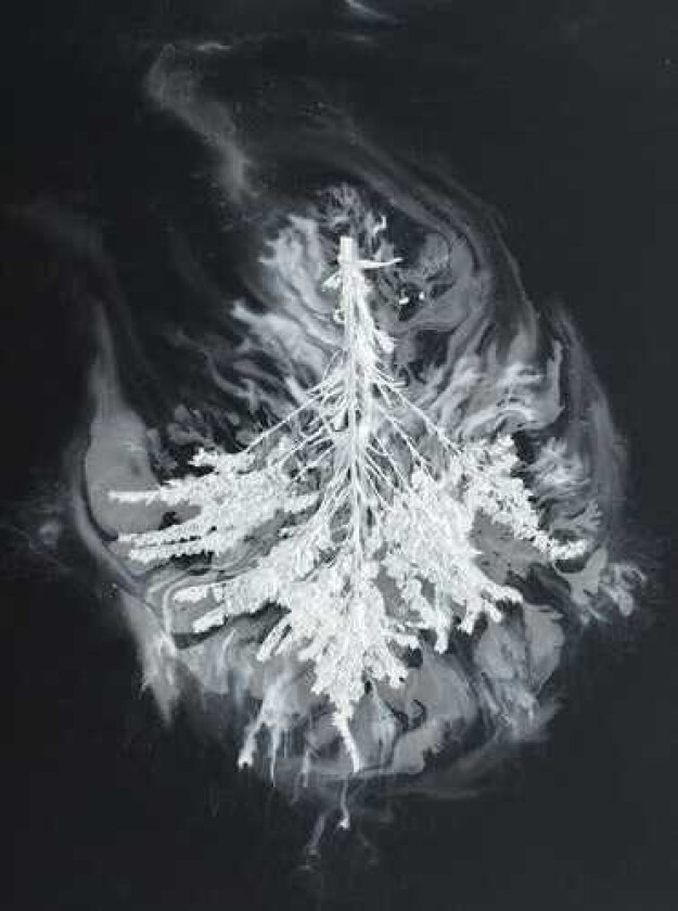 Seabuckthorn Turns CD