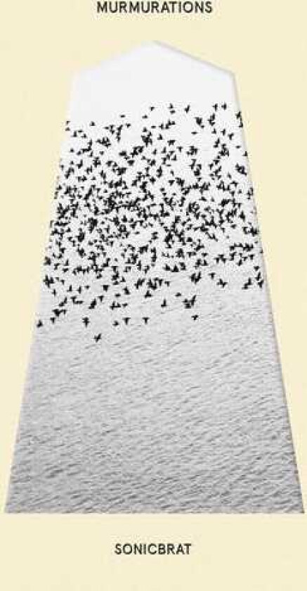 Sonicbrat Murmurations CD