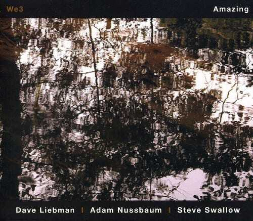 Adam Nussbaum Amazing CD