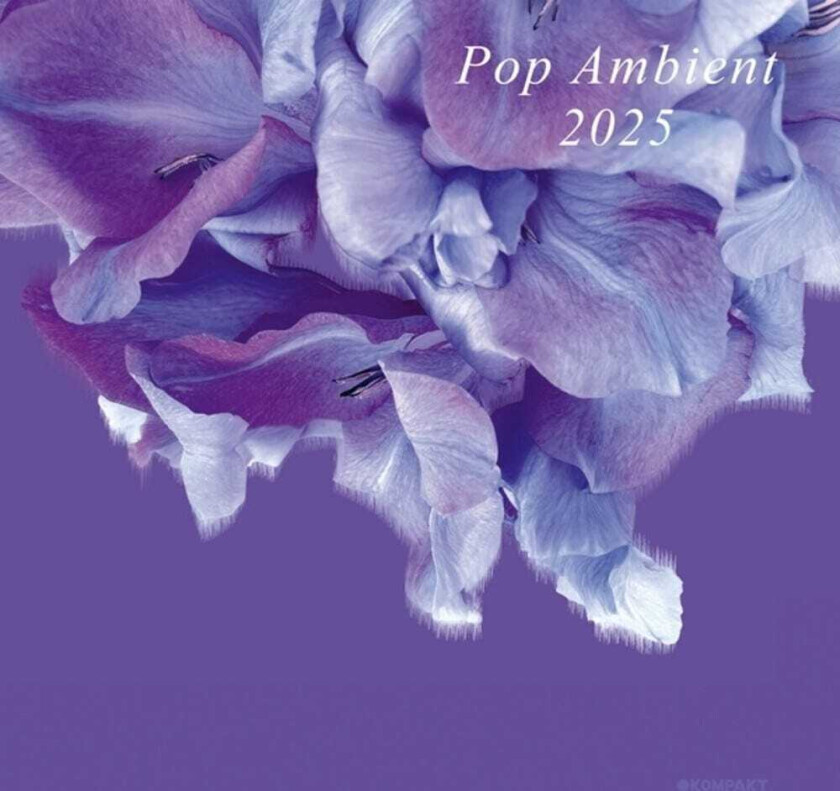 Diverse Artister Pop Ambient 2025 CD