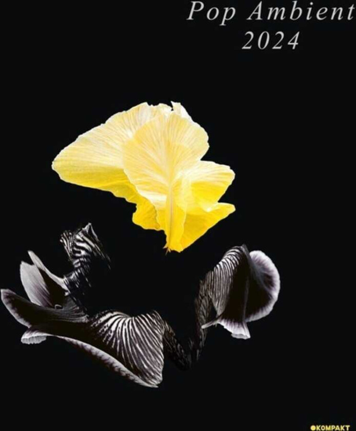 Diverse Artister Pop Ambient 2024 CD