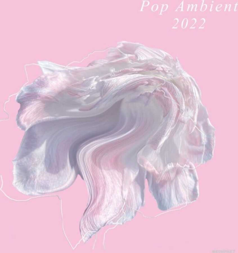 Diverse Artister Pop Ambient 2022 CD
