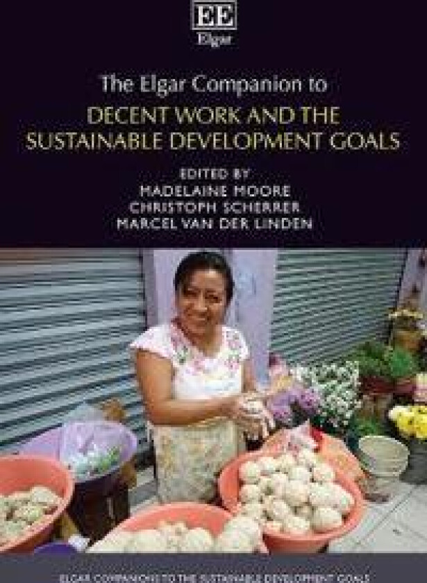 The Elgar Companion to Decent Work and the Sustainable Development Goals