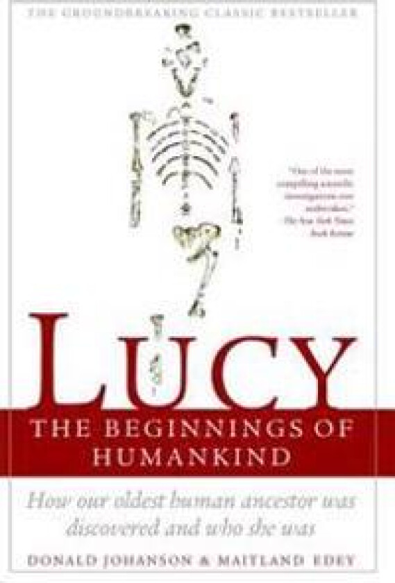Lucy, the Beginnings of Humankind