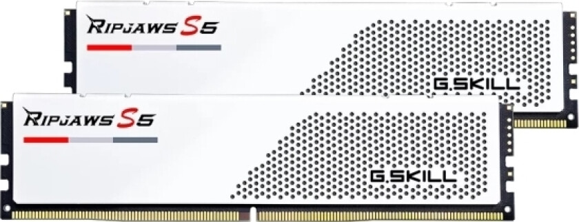 F5-6000J2836g32gx2-Rs5w Memory Module 64 Gb