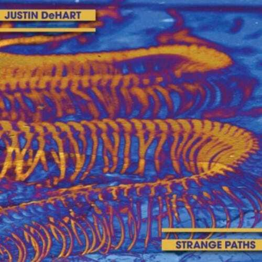 Justin Dehart, Brian Ferneyhough, Iannis Xenakis, Michael Gordon, Stuart Saunders Smith Strange Paths CD