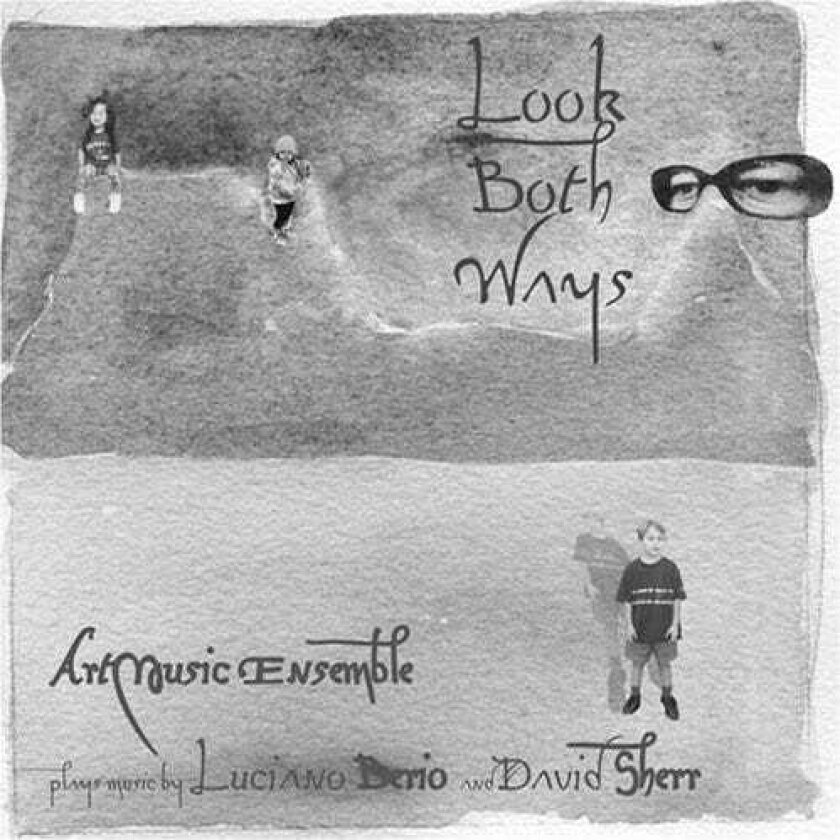 Art Music Ensemble Look Both Ways CD
