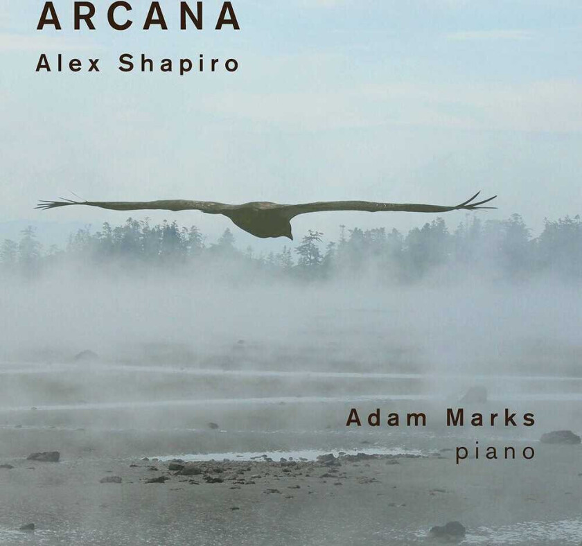 Adam Marks Arcana CD