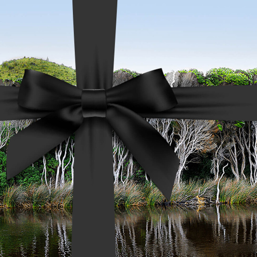 Bilde av Gavekort til Australian Bodycare webshop - 100,00 NOK