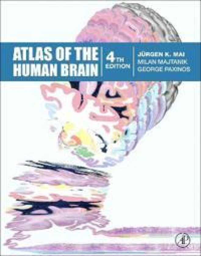 Atlas of the Human Brain