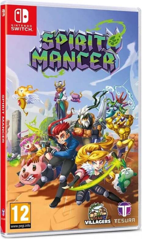 Spirit Mancer (Collector's Edition) - Nintendo Switch - Plattform