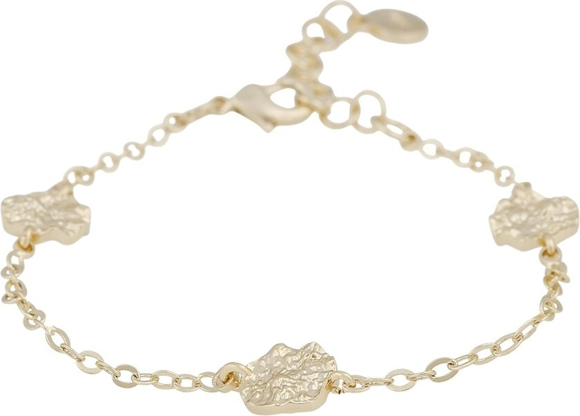 Gisele Coin Chain Bracelet Plain Gold Onesize