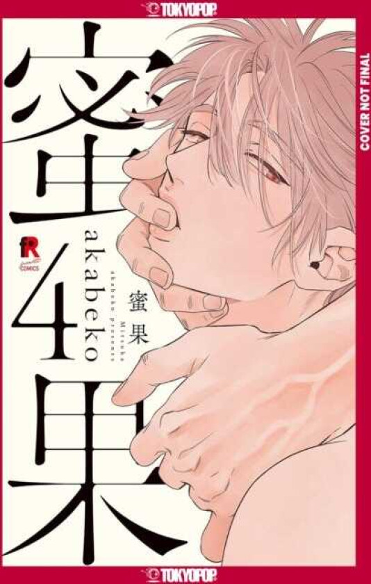 Mitsuka, Volume 4
