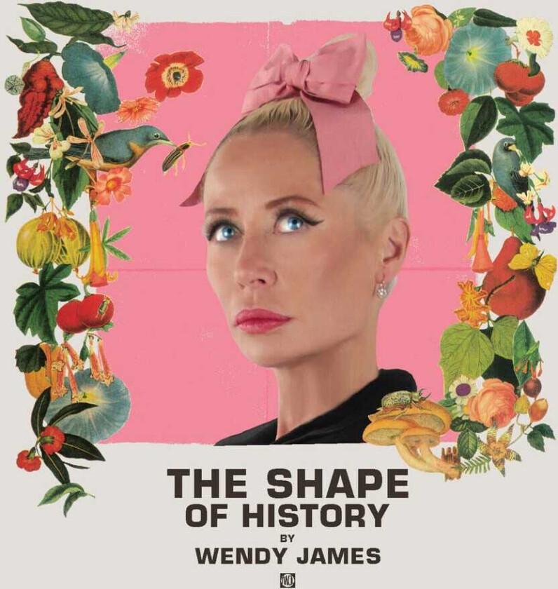 Wendy James Shape Of History CD