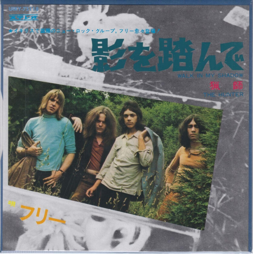 Free Walk In My Shadow / The Hunter LP/Vinyl