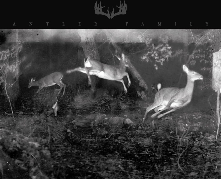 Bilde av Antler Family Antler Family LP/Vinyl