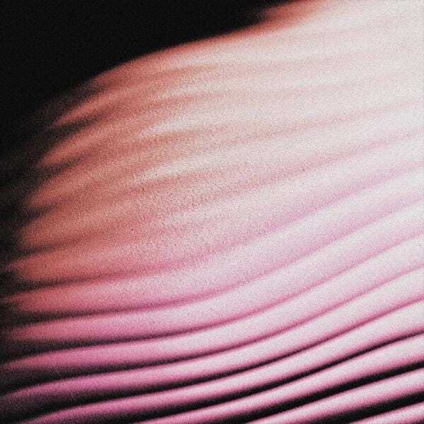 Polar Everything Everywhere LP/Vinyl