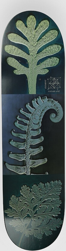 Leaves Madars Apse 8.38" Skateboard Deck mønster