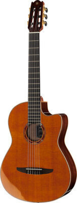 NCX3C Electro Nylon String Natural