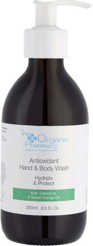 Antioxidant Hand & Body Wash 250 ml