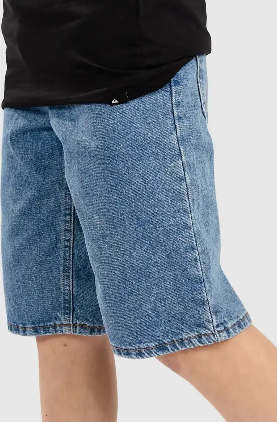 Loose Fit Sk8 Shorts blå