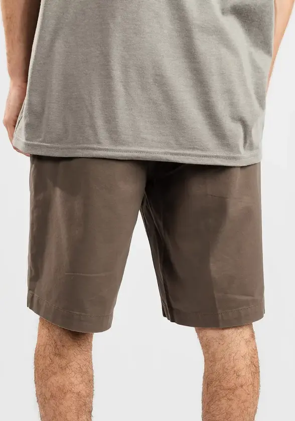 Fox Essex 2.0 Shorts brun