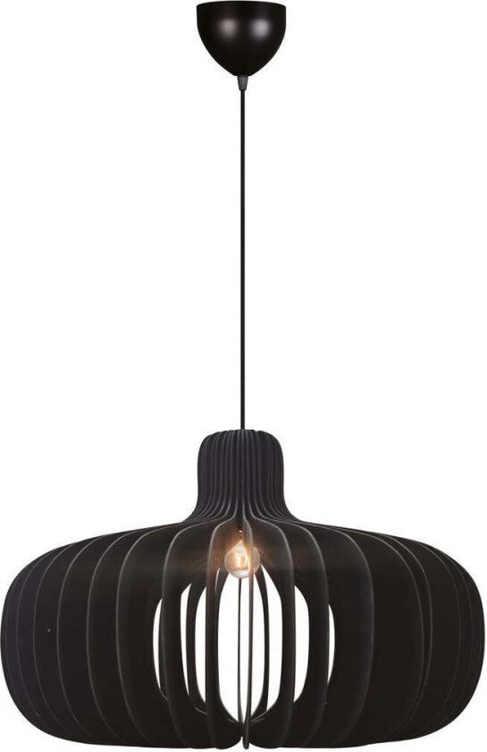 Hazo 65 takpendel - Svart