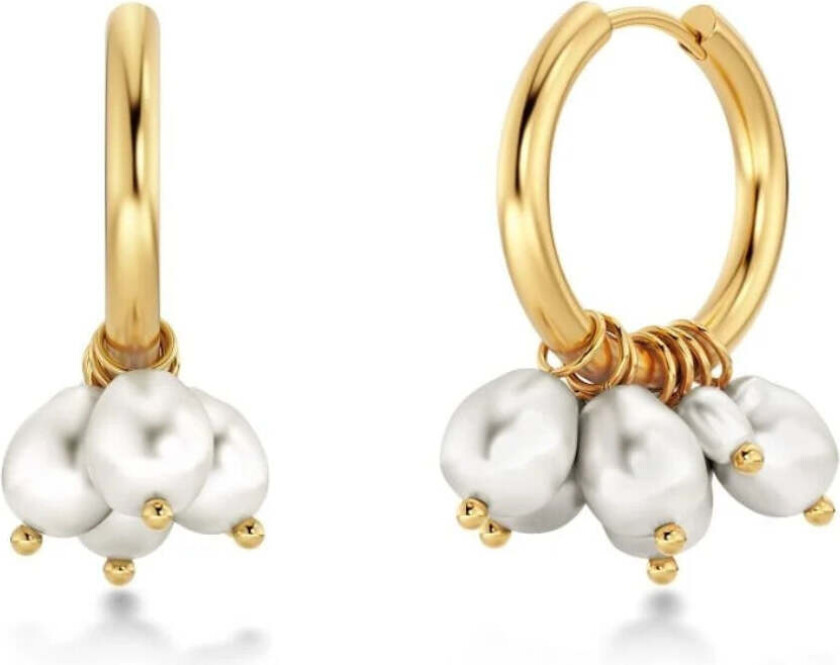 PEARL SIGNET HOOPS Gull