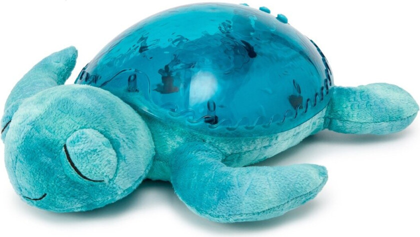 Tranquil Turtle - Aqua