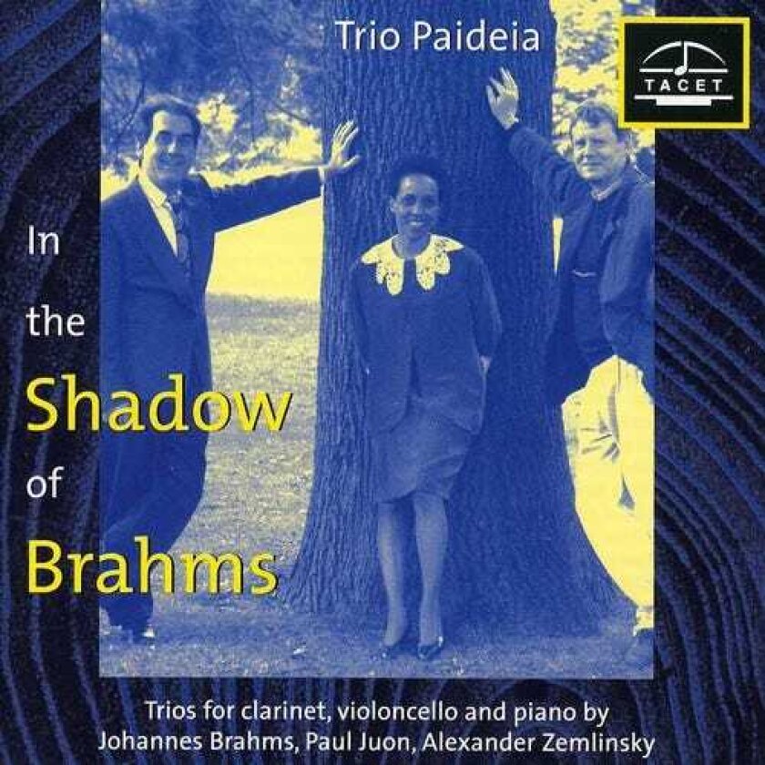 Trio Paideia, Alexander Von Zemlinsky, Paul Juon Im Schatten Von Brahms 1 CD