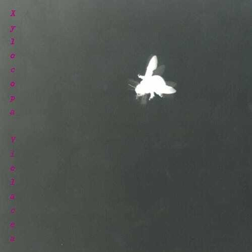 Barbara Maurer, Reinhold Braig, Lucia Ronchetti Xylocopa Violacea CD