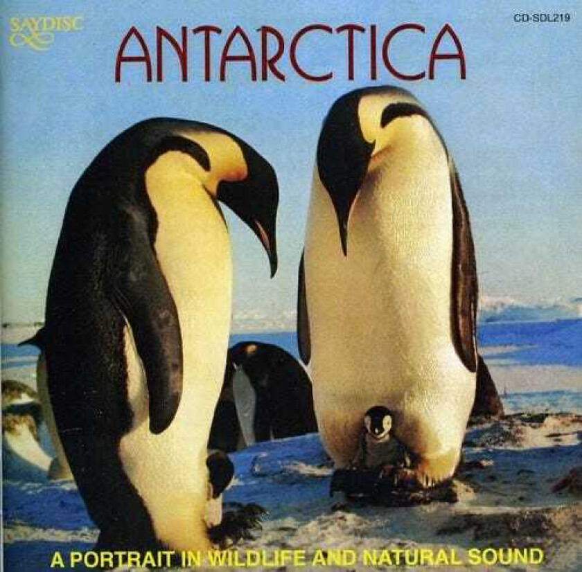 Diverse Artister Antarctica: Portrait In Wildlife & Natural Sound CD