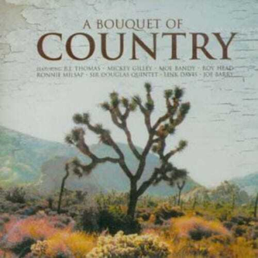 Diverse Artister Bouquet Of Country CD