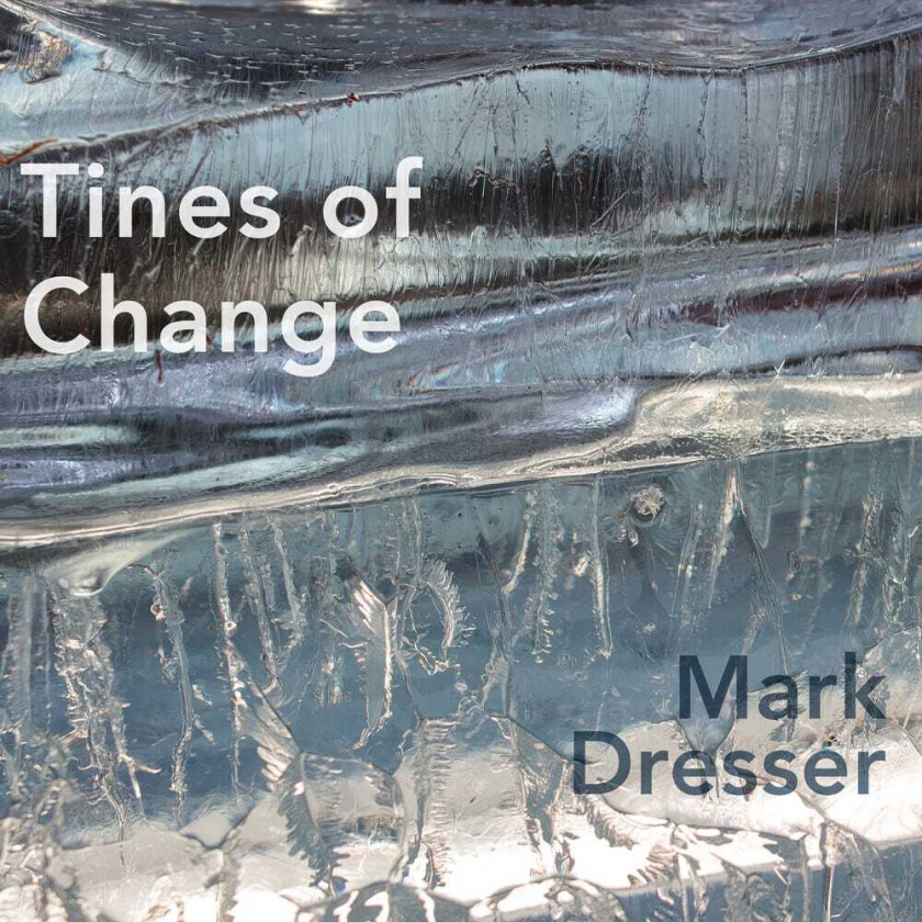 Mark Dresser Tines For Change CD