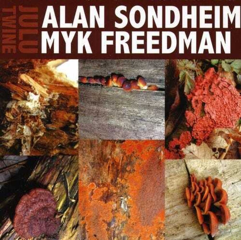 Alan Sondheim Myk Freedman: Julu Twine CD