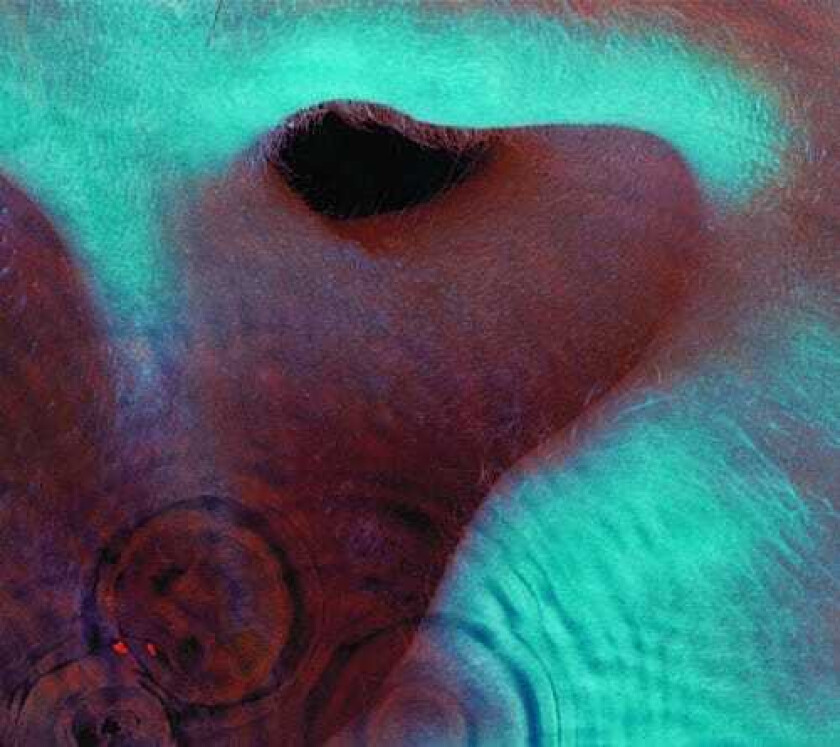 Pink Floyd Meddle CD