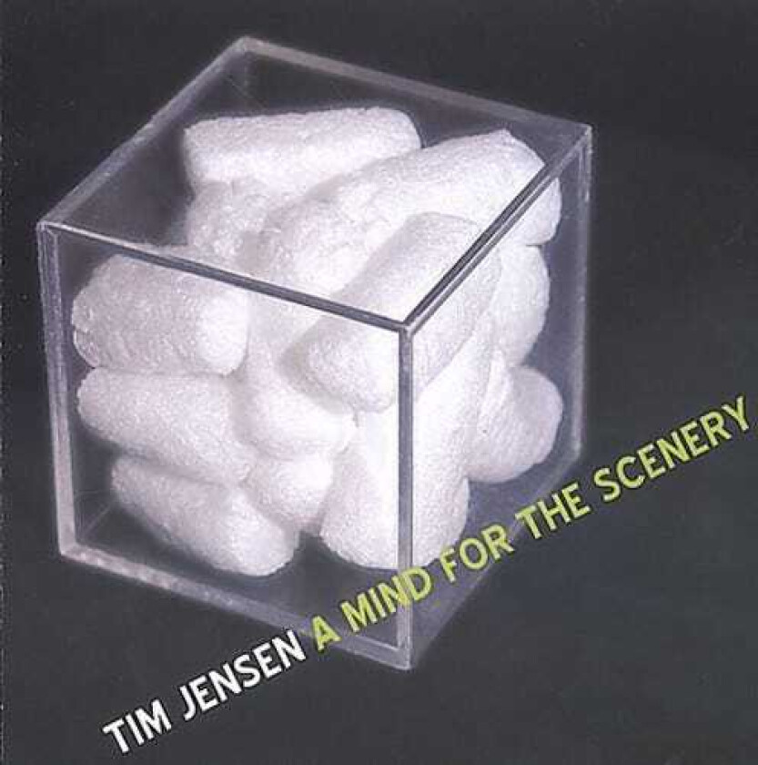 Tim Jensen Mind For Scenery CD