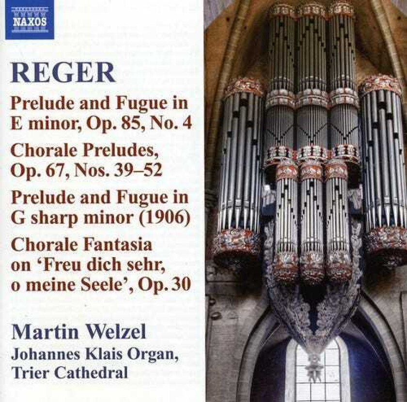 Martin Welzel Reger 10: Organ Works CD