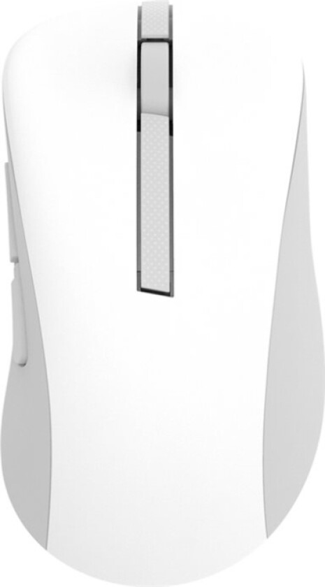 Asus Md102 - Mus - Ergonomisk - Optisk - 5 Knapper - Trådløs - Bluetooth, 2.4 Ghz - Usb Trådløs Mottaker - Hvit