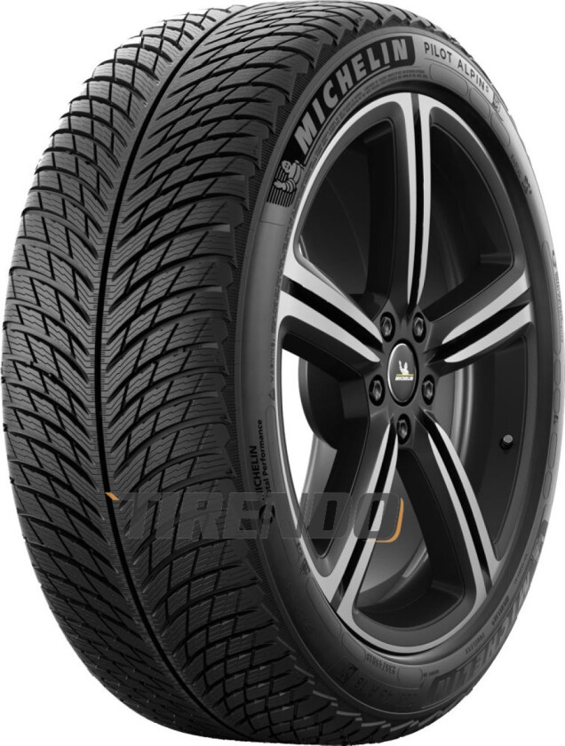 Bilde av Pilot Alpin 5 ( 295/30 R20 101V XL, MO1 )