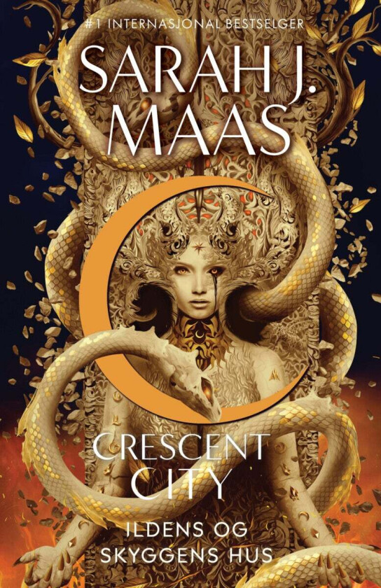 Ildens og skyggens hus av Sarah J. Maas