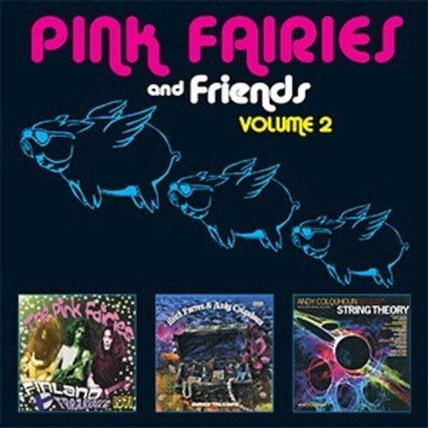 The Pink Fairies Pink Fairies & Friends Vol 2 CD